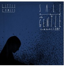 Little Comets - Salt and Its Gentle Corollary