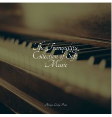 Little Magic Piano, Peaceful Piano Chillout, Relaxed Minds - The Tranquility Collection of Soft Music