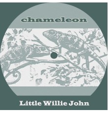 Little Willie John - Chameleon