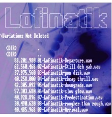 Lofinatik - Variations Not Deleted