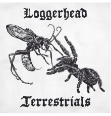 Loggerhead - Terrestrials