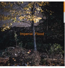 Logos - Imperial Flood