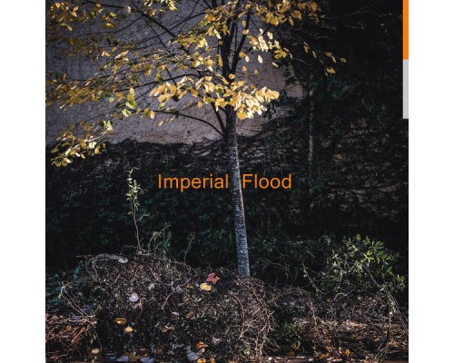 Logos - Imperial Flood