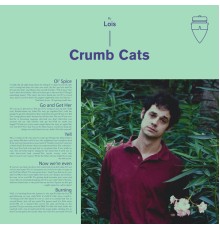 Lois - Crumb Cats