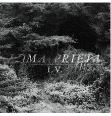 Loma Prieta - I.V.