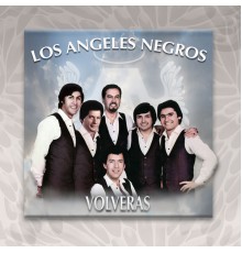 Los Angeles Negros - Volverás