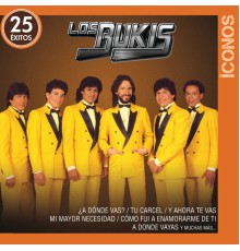 Los Bukis - Íconos 25 Éxitos