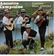 Los Hermanos Amado - Ancestro Campesino