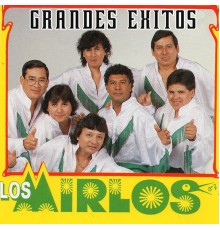 Los Mirlos - Grandes Éxitos