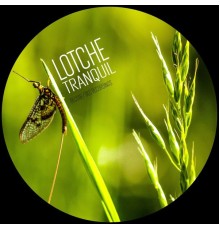 Lotche - Tranquil