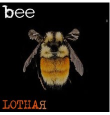 Lothar - Bee!