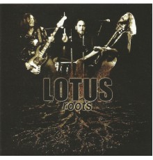 Lotus - Roots