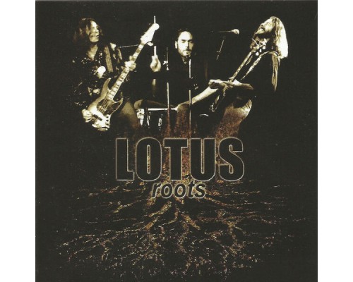 Lotus - Roots