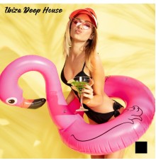 Lounge Ibiza - Ibiza Deep House: 2021 Tropical Chillhouse Music Compilation