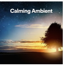 Lounge Music Café, Concentration Music for Work, Instrumental Sleeping Music - Calming Ambient