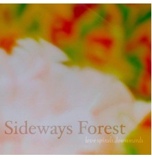 Love Spirals Downwards - Sideways Forest