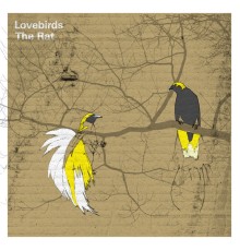 Lovebirds - The Rat