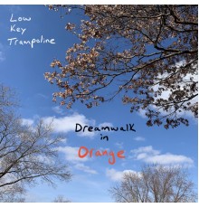 Low Key Trampoline - Dreamwalk in Orange