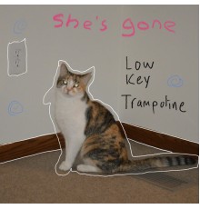 Low Key Trampoline - She's Gone