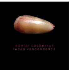 Lucas Vasconcellos - Adotar Cachorros