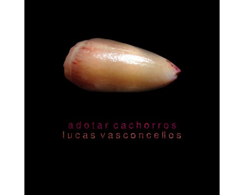 Lucas Vasconcellos - Adotar Cachorros