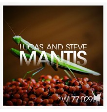 Lucas and Steve - Mantis