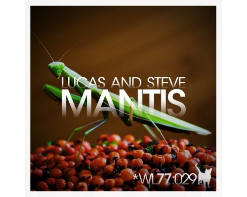 Lucas and Steve - Mantis