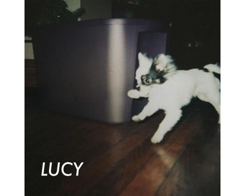 Lucy - 3