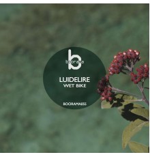 Luidelire - Wet Bike