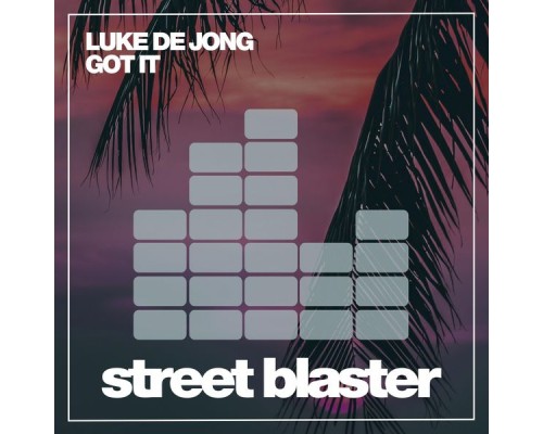 Luke De Jong - Got It