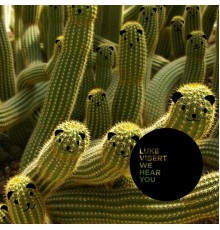 Luke Vibert - We Hear You