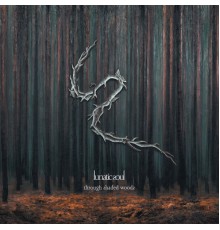 Lunatic Soul - Through Shaded Woods