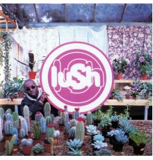 Lush - Lovelife