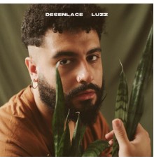 Luzz - desenlace