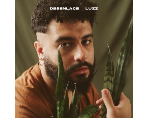 Luzz - desenlace