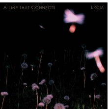 Lycia - A Line That Connects