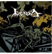 Lycosa - Lycosa