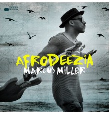 MARCUS MILLER - Afrodeezia