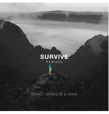 MAX - Survive (Remixes)