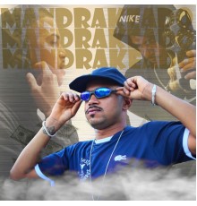 MC Erickinho - Mixtape Mandrakeado