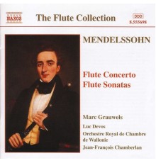 MENDELSSOHN: Flute Concerto in D Minor / Flute Sonatas - Mendelssohn: Flute Concerto in D Minor / Flute Sonatas