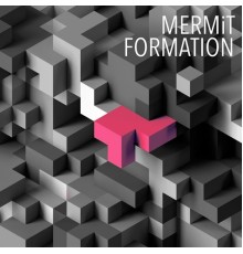 MERMiT - Formation