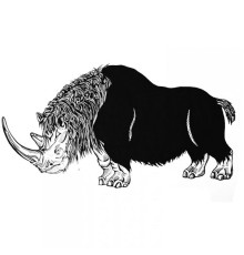 ME REX - Woolly Rhino