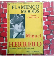 MIGUEL HERRERO - Flamenco Moods