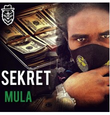 MMVSeKreT - Mula