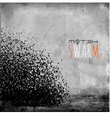 MOT3K - Swarm EP (Original Mix)