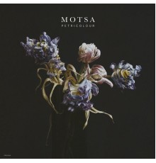 MOTSA - Petricolour