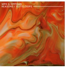 MPH and Oppidan - Reasons & Fluteloops