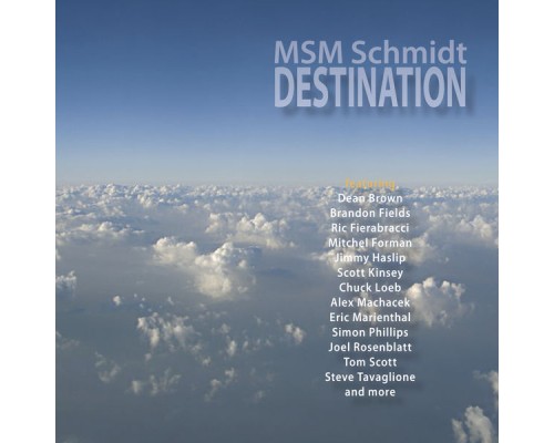 MSM Schmidt - Destination