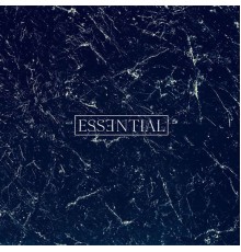 MTD - ESSENTIAL 001